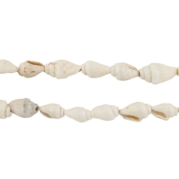 White Reef Natural Shell Beads