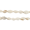White Reef Natural Shell Beads
