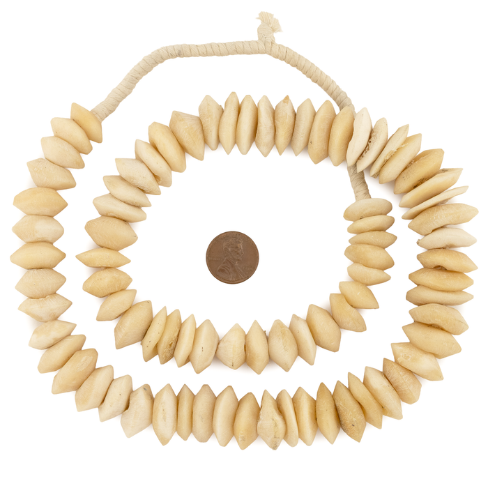 Graduated Camel Bone Saucer Beads (17-27mm)