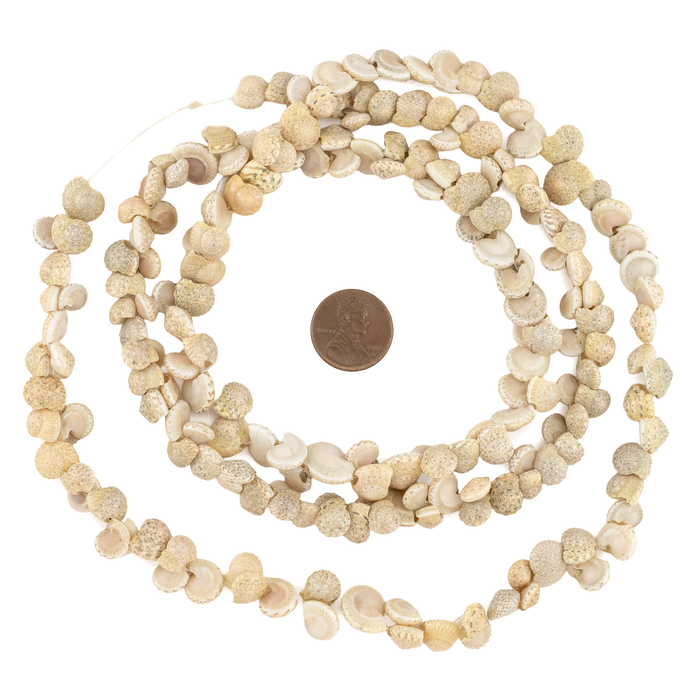 Sea Spiral Natural Shell Beads