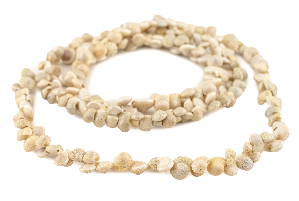 Sea Spiral Natural Shell Beads