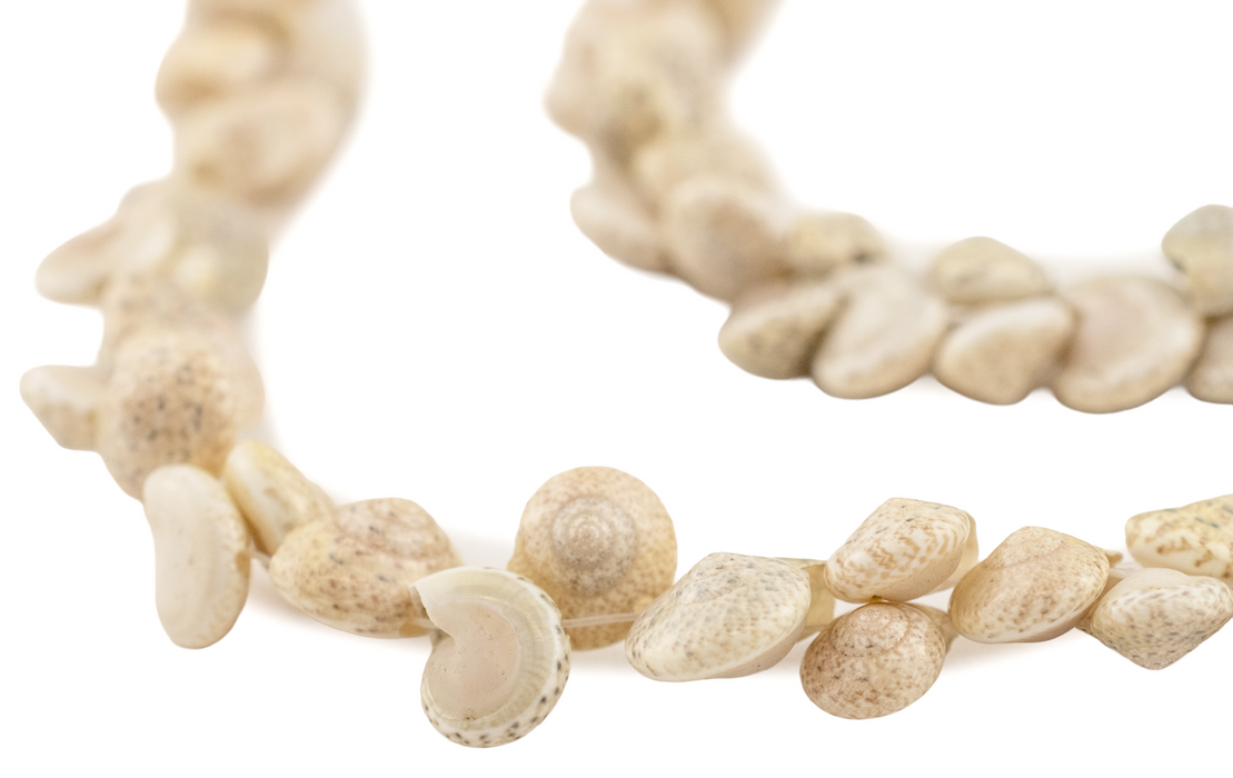 Sea Spiral Natural Shell Beads