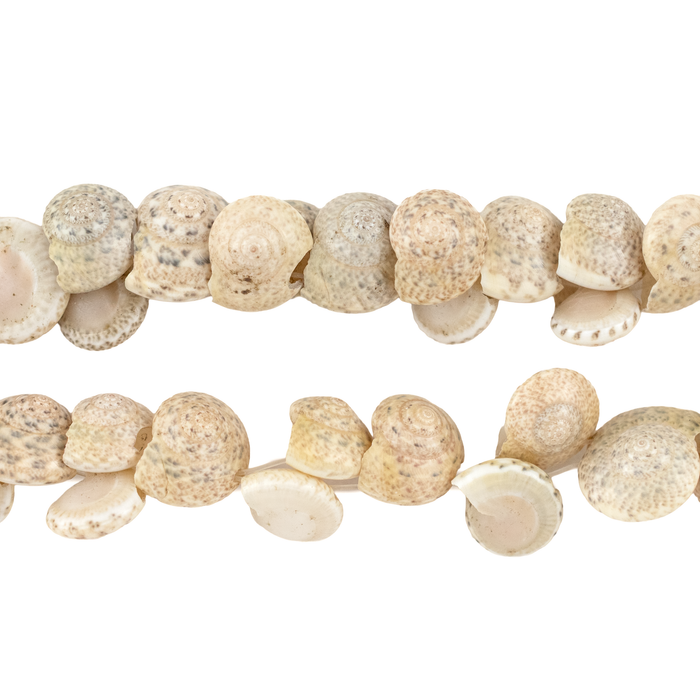 Sea Spiral Natural Shell Beads