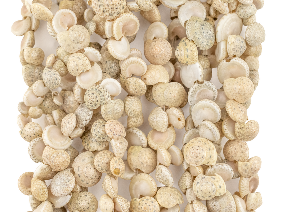 Sea Spiral Natural Shell Beads