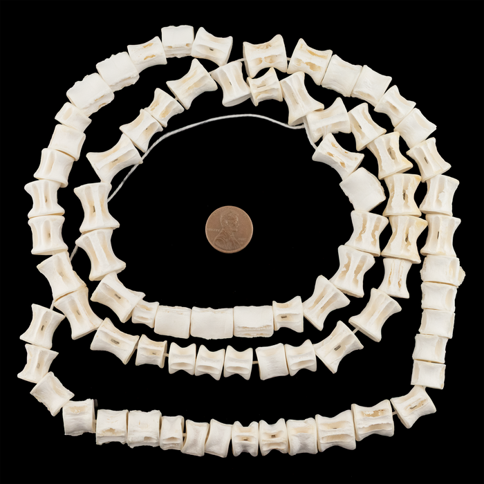 Elongated Fish Bone Beads (12-16mm)