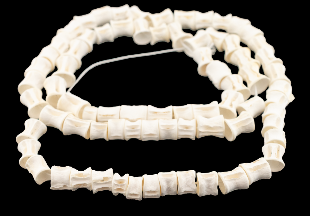 Elongated Fish Bone Beads (12-16mm)