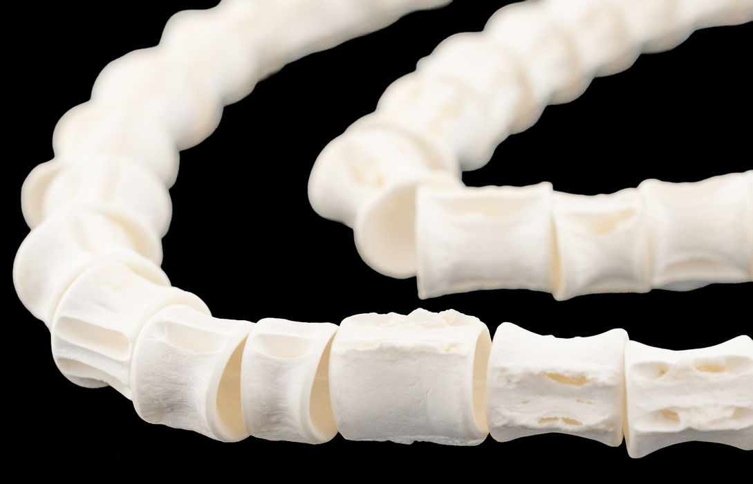 Elongated Fish Bone Beads (12-16mm)