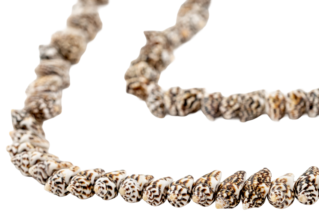Dark Brown Tiger Natural Shell Beads