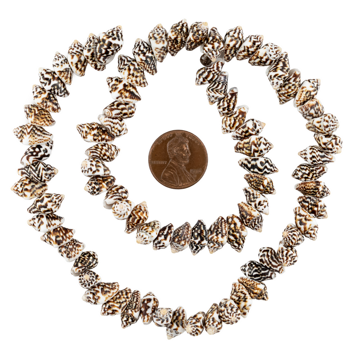 Dark Brown Tiger Natural Shell Beads