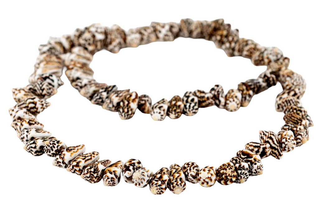 Dark Brown Tiger Natural Shell Beads