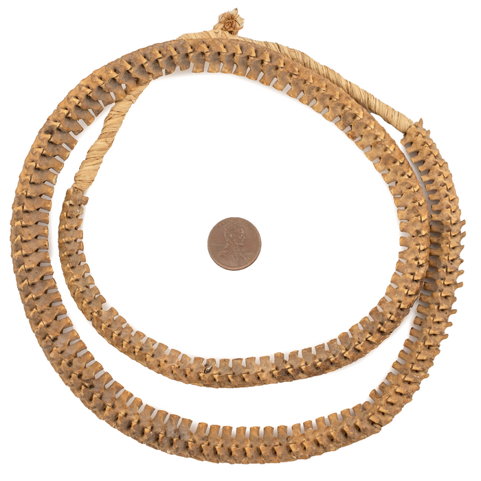Old African Snake Vertebrae Beads #16401