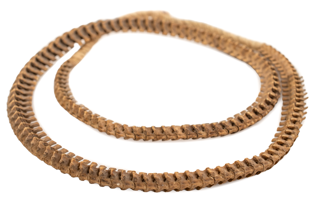 Old African Snake Vertebrae Beads #16401