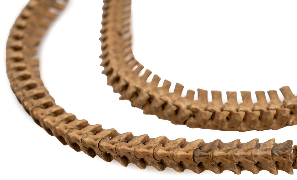 Old African Snake Vertebrae Beads #16401