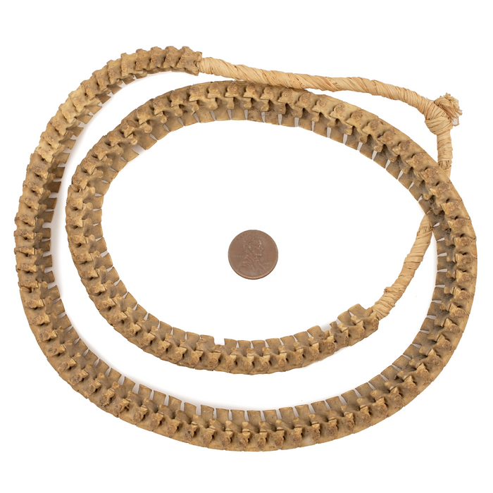 Old African Snake Vertebrae Beads #16400