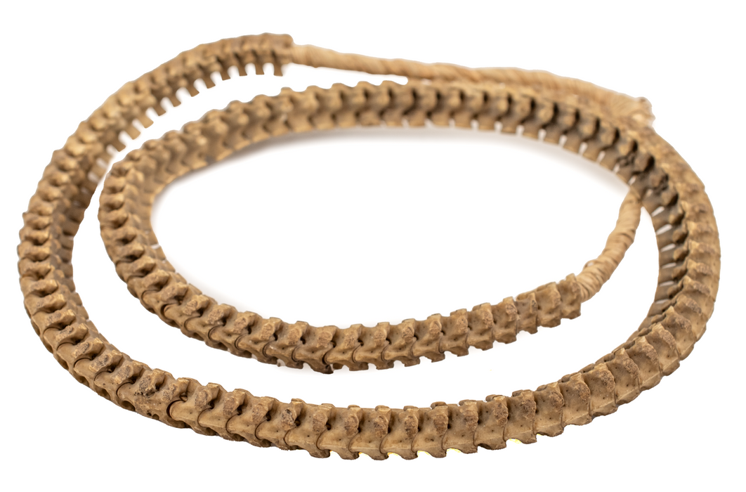 Old African Snake Vertebrae Beads #16400