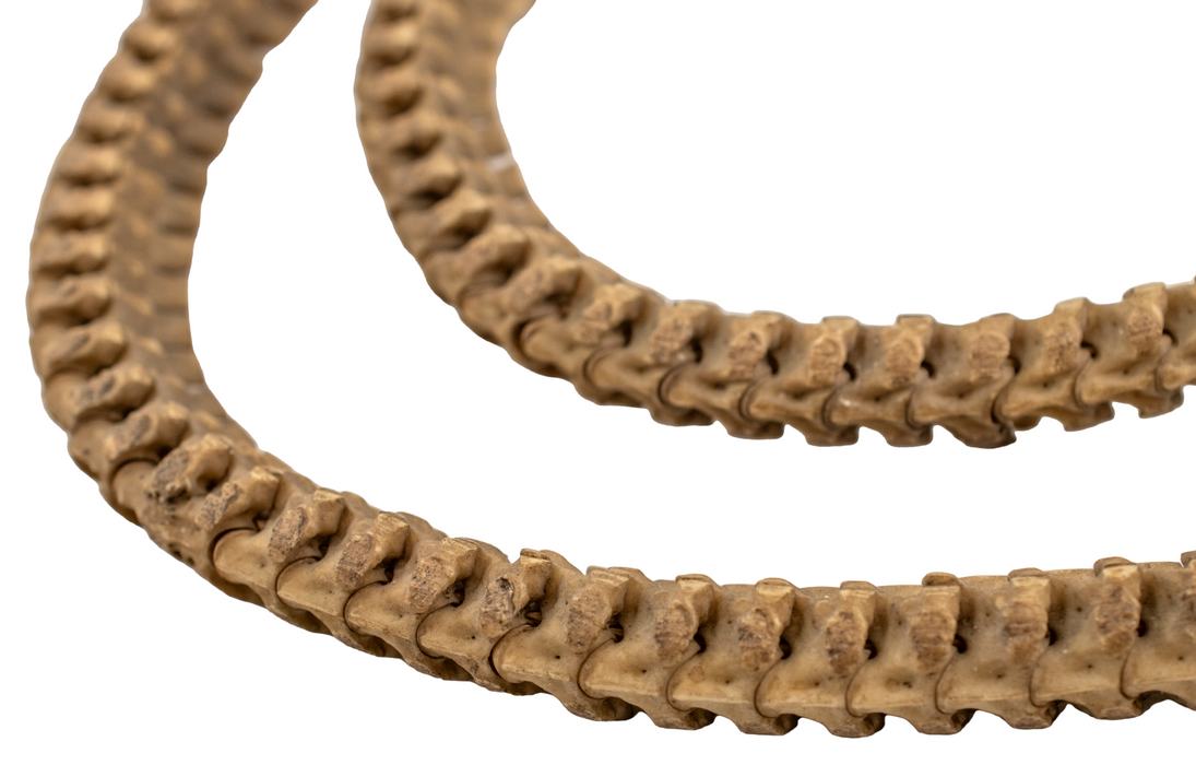 Old African Snake Vertebrae Beads #16400