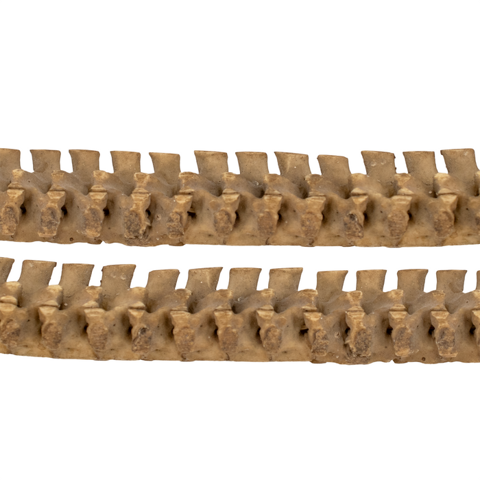Old African Snake Vertebrae Beads #16400