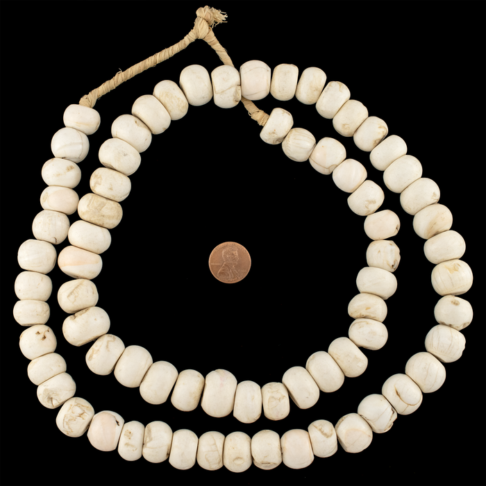 Naga Conch Shell Beads (16-19mm)