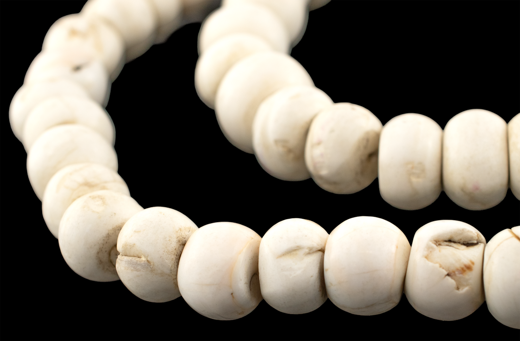 Naga Conch Shell Beads (16-19mm)