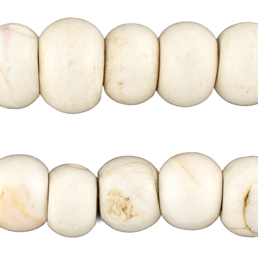 Naga Conch Shell Beads (16-19mm)