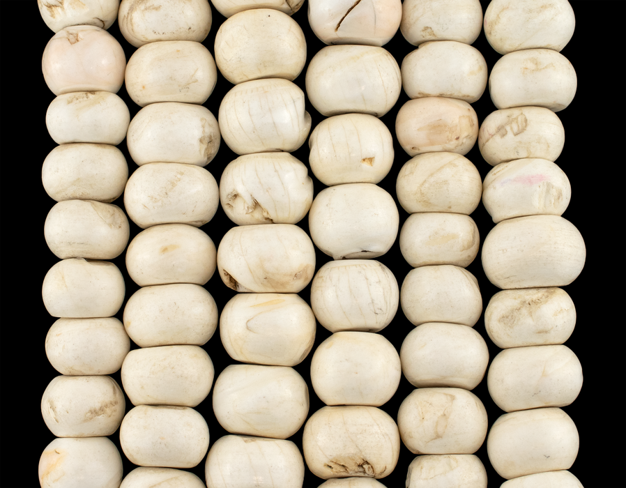 Naga Conch Shell Beads (16-19mm)