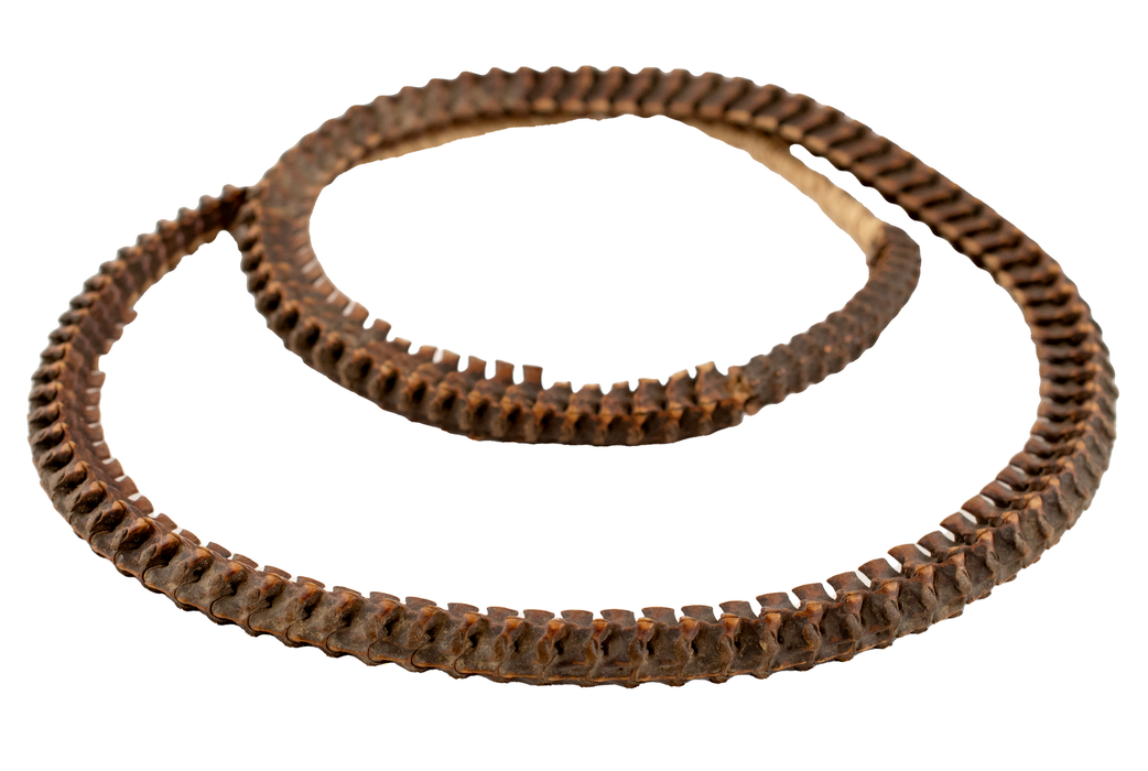 Old Authentic Snake Vertebrae Beads from Africa #17023