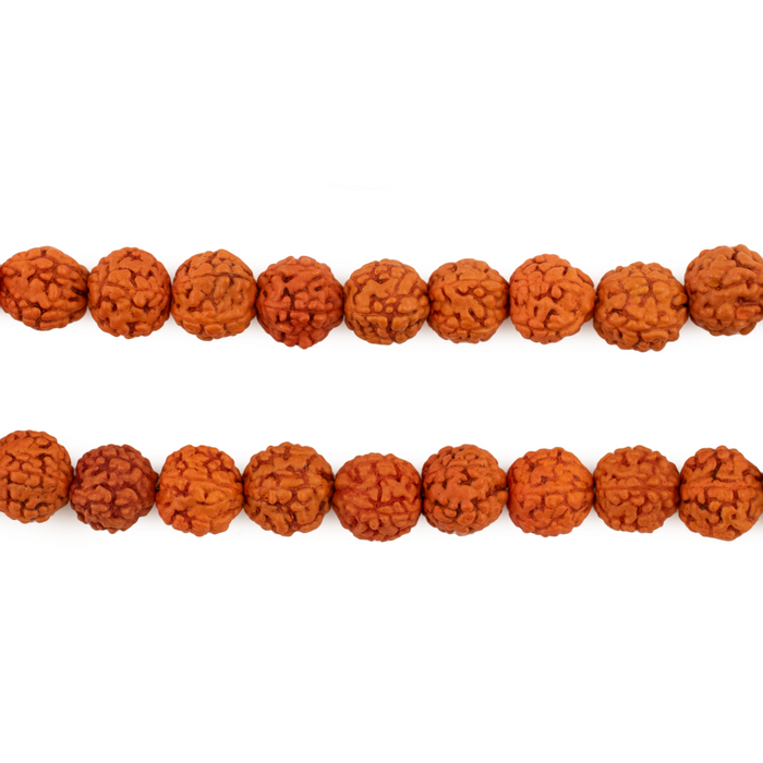 Orange Baby Rudraksha Seed Prayer Beads (6mm)