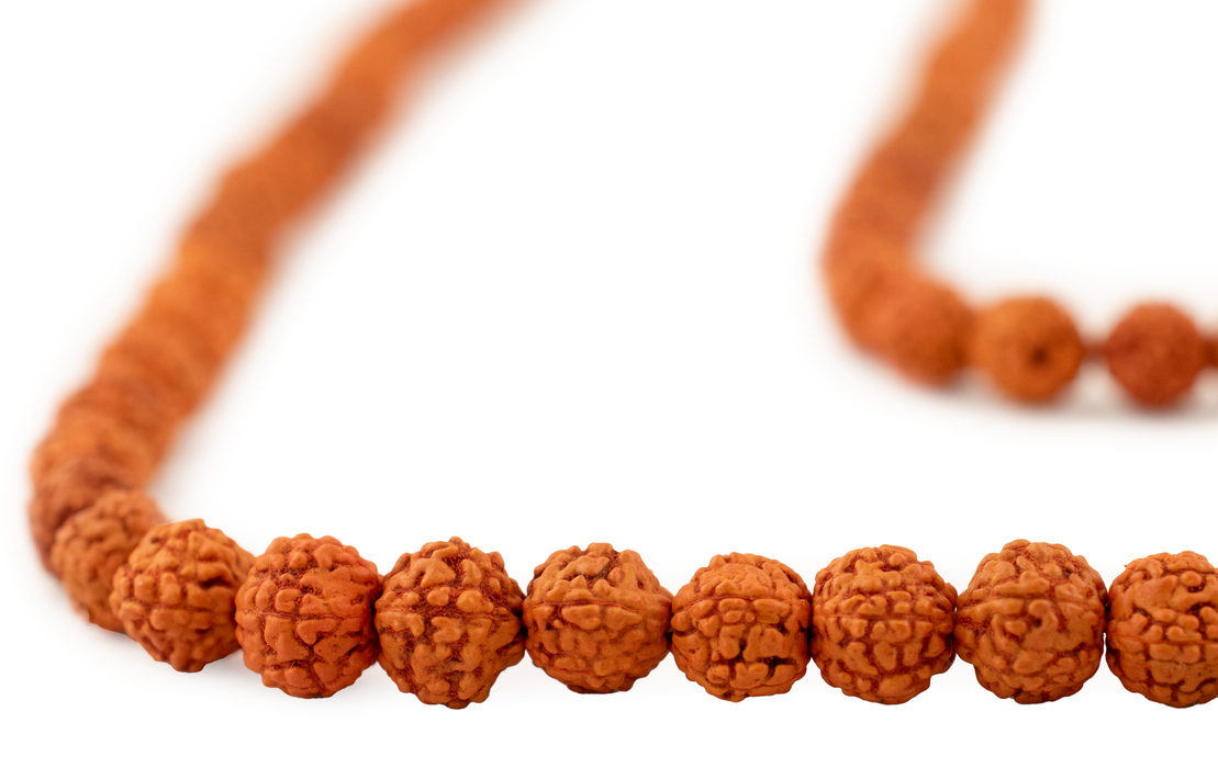 Orange Baby Rudraksha Seed Prayer Beads (6mm)