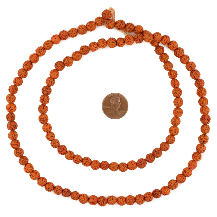 Orange Baby Rudraksha Seed Prayer Beads (6mm)
