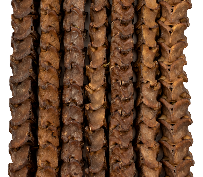 Real Snake Vertebrae Beads from Africa (Large)