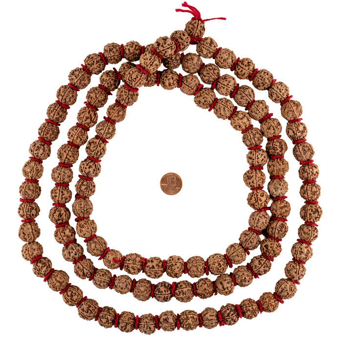 Jumbo Rudraksha Mala Beads (18-20mm)