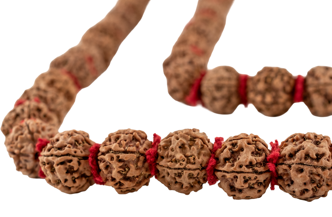 Jumbo Rudraksha Mala Beads (18-20mm)