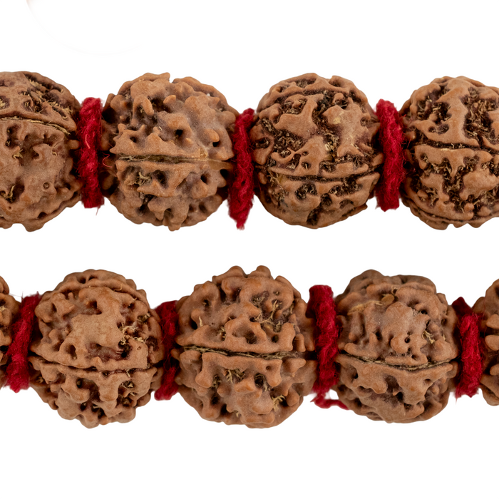 Jumbo Rudraksha Mala Beads (18-20mm)