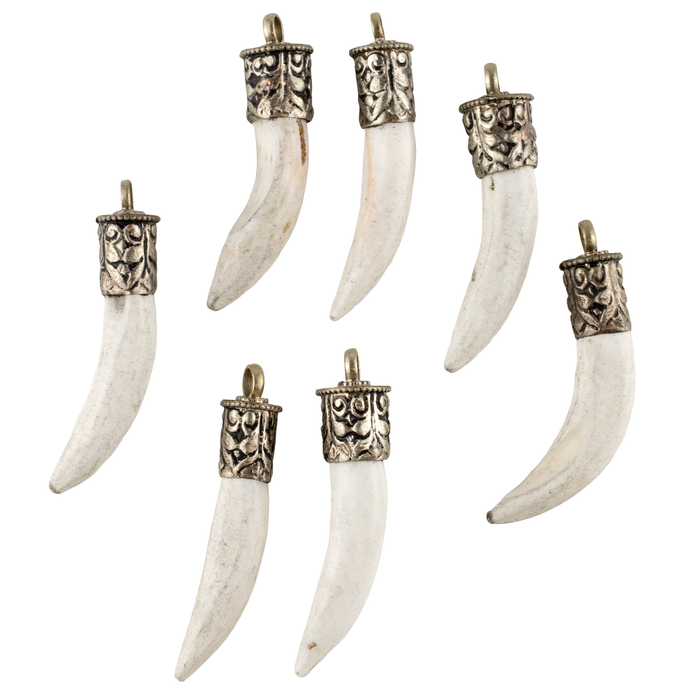 Silver Capped Conch Shell Tooth Pendant (60mm)
