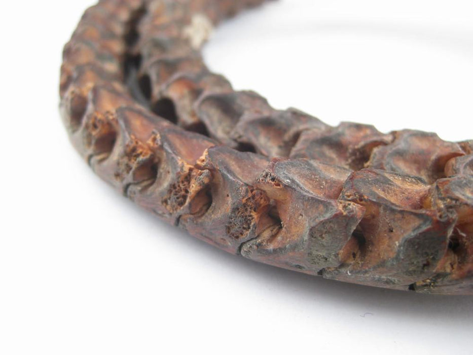 Real Snake Vertebrae Beads from Africa (Large)