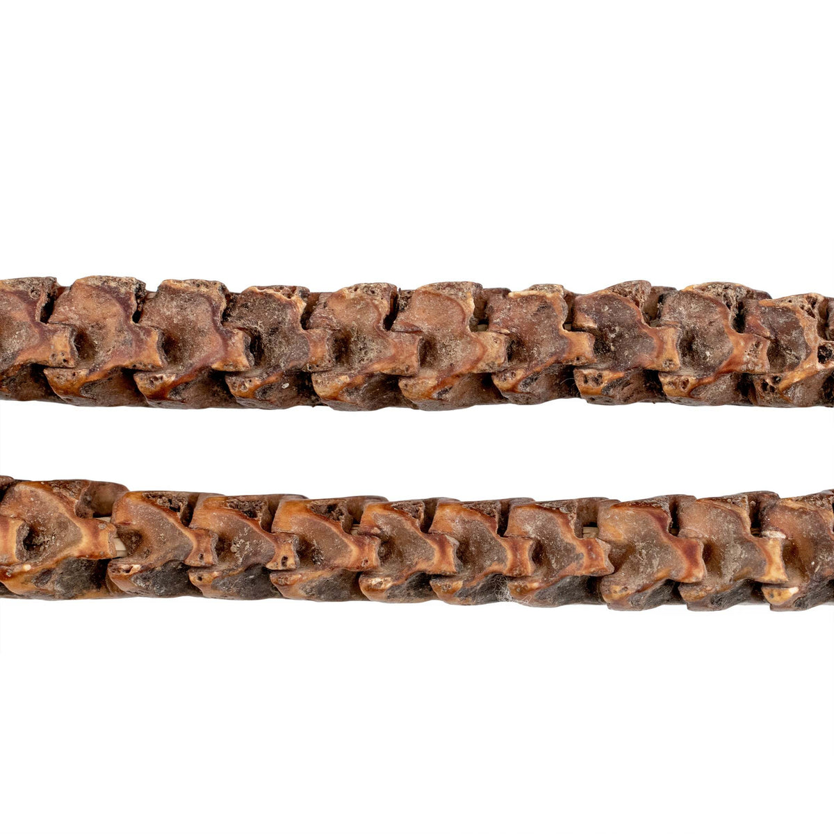 Snake Vertebrae Beads - Shop for African Beads from The Bead Chest