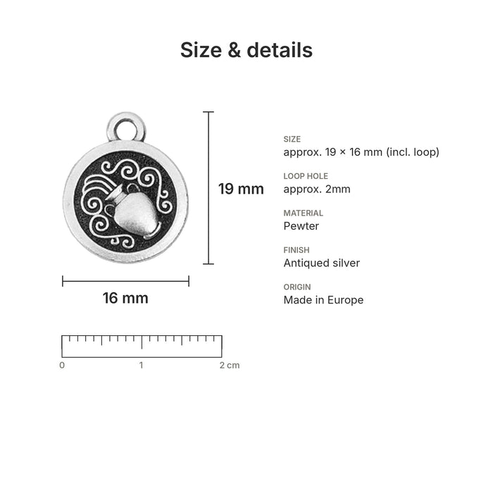 zodiac charms size details aquarius