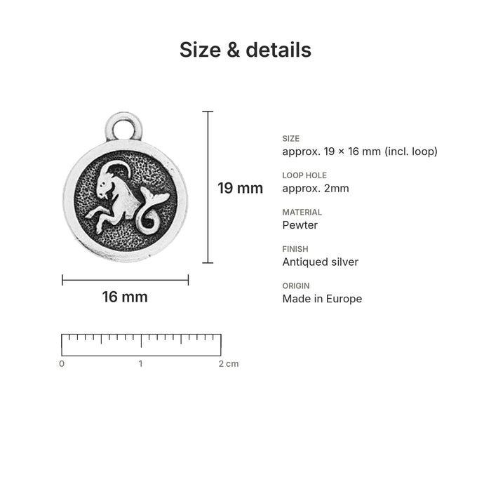 zodiac charms size details capricorn