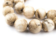 Vintage Spherical Naga Conch Shell Beads (16mm) - The Bead Chest