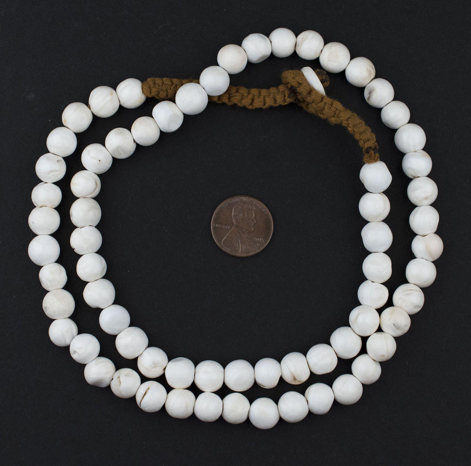 White Spherical Naga Conch Shell Beads (10mm) — The Bead Chest