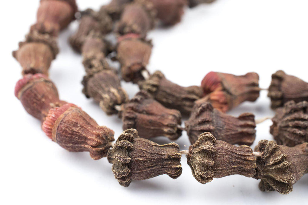 Clove-Shaped Aromatic Moroccan Eucalyptus Beads - The Bead Chest
