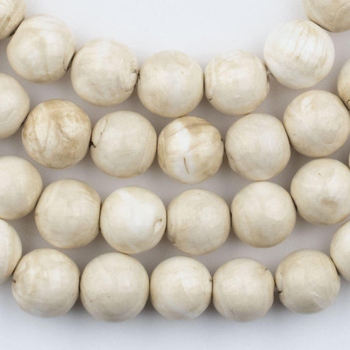 108 Naga Conch Shell Beads (17mm) - The Bead Chest