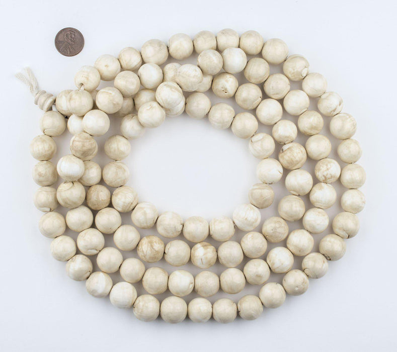 108 Naga Conch Shell Beads (17mm) - The Bead Chest