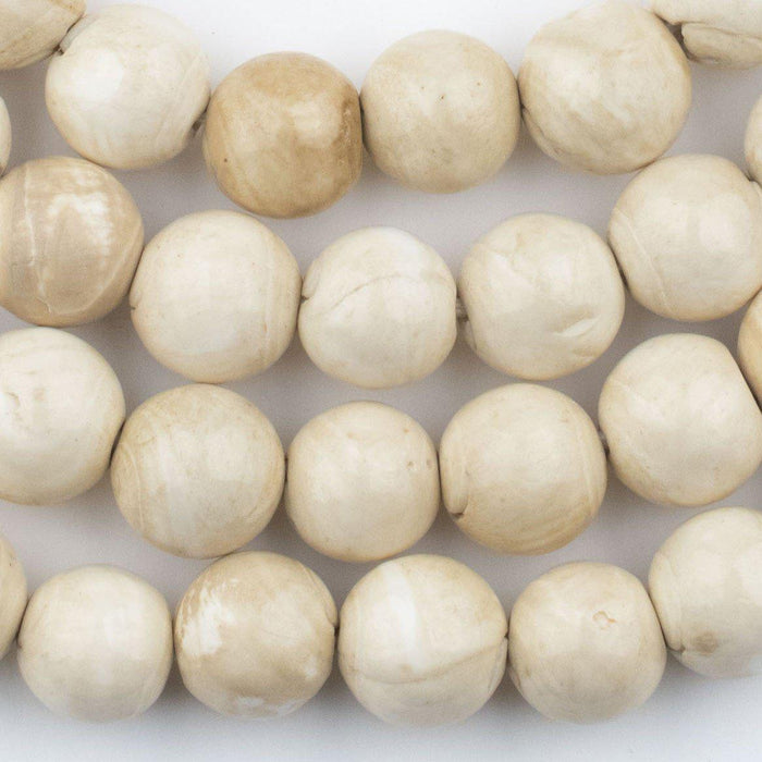 108 Naga Conch Shell Beads (15mm) - The Bead Chest