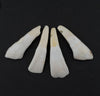 Water Buffalo Tooth Pendants (Set of 4)