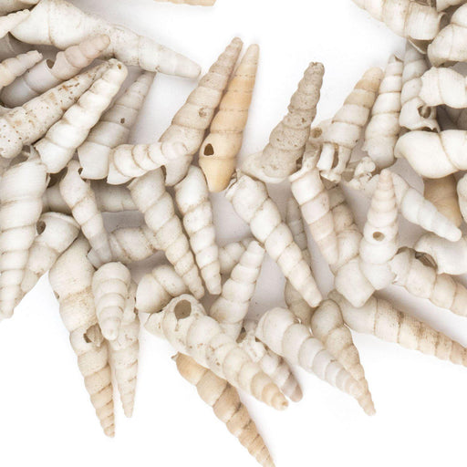 West African Porcupine Shell Beads (White) - The Bead Chest