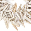 West African Porcupine Shell Beads (White)