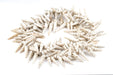 West African Porcupine Shell Beads (White) - The Bead Chest