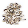 Cowrie Shells (Large)