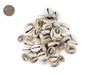 Cowrie Shells (Medium) - The Bead Chest